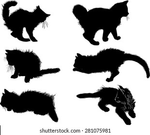 illustration with cat collection isolated on white