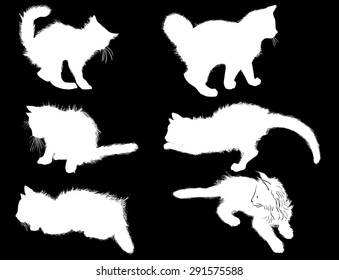 ilustración con colección de gatos aislada en negro