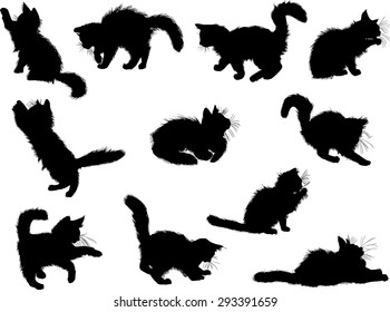 illustration with cat collection isolated on white background