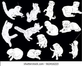 Illustration Cats Collection Isolated On Black Stock Vector Royalty Free Shutterstock