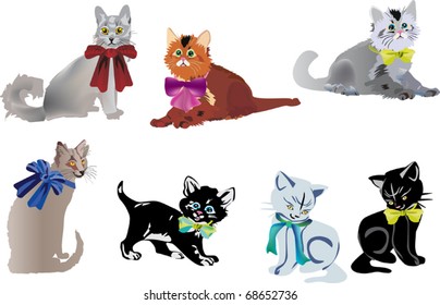 illustration with cat collection isolated on white background