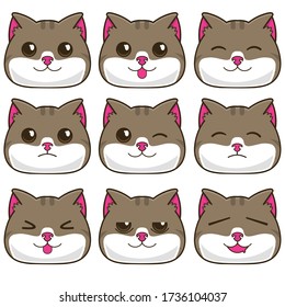 illustration of cat face expression set, have many expression , perfect for motion character , icon set, sticker pack, or etc. 