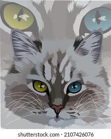 illustration of cat face with yellow and blue eyes. vector graphics. cat vector