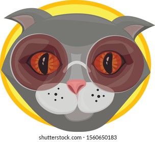 
Illustration: cat with glasses. Cute cat with glasses.