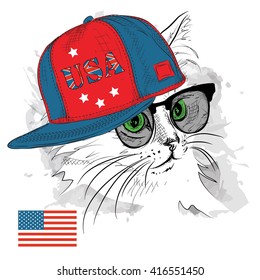 Illustration of cat in the glasses, headphones and in hip-hop hat with print of USA. Vector illustration.