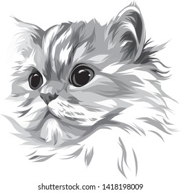 Illustration cat in grey color