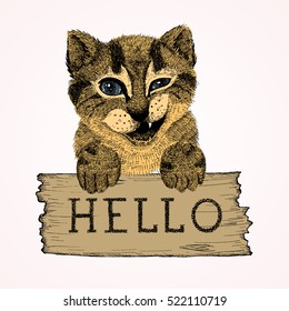 Illustration of cat hand drawn by ink in beige and brown colors