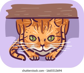 Illustration of a Cat Hiding in Hunched Position Under Something, Symptom of Illness and Stress