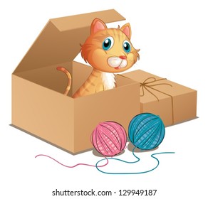 Illustration of a cat inside the box on a white background