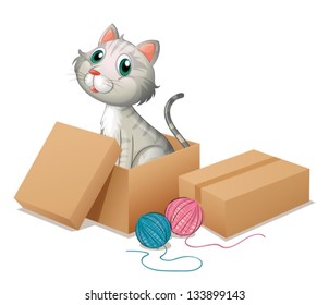 Illustration of a cat inside the box on a white background