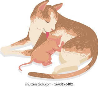 Illustration of a Cat Licking Her Breastfeeding Kitten