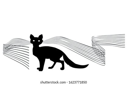 
Illustration of a cat with a long mustache