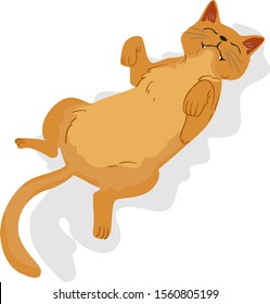 Illustration of a Cat Lying Down the Floor and Showing Its Belly