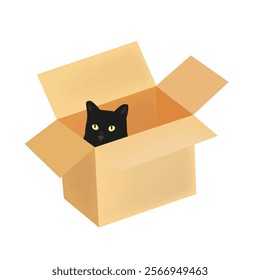 Illustration of cat on the box