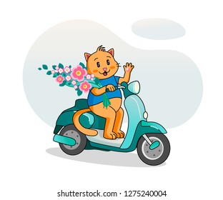 illustration of a cat on a moped with a bouquet