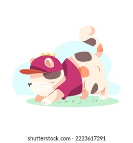 illustration of a cat playing and wearing a hat