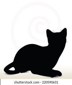 illustration of cat silhouette isolated on white background - in sitting pose 