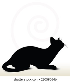 illustration of cat silhouette isolated on white background - in sitting pose 