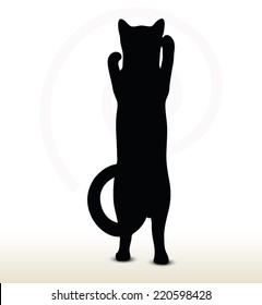 illustration of cat silhouette isolated on white background - in boxing pose