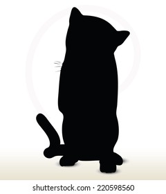 illustration of cat silhouette isolated on white background - in cleaning-pawl pose