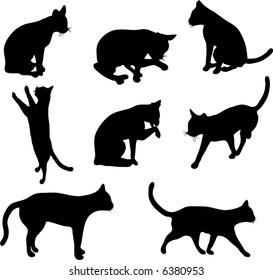 illustration with cat silhouettes collection