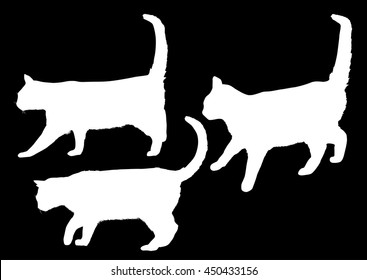 illustration with cat silhouettes collection isolated on black background