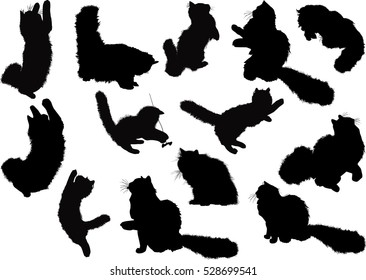 illustration with cat silhouettes collection isolated on white background