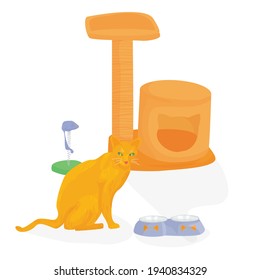 Illustration cat sits of a small house on a white background, next to accessories for pets. cat house, food bowl, toys. ginger cat. vector flat. pet Shop. happy pet owners