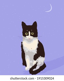 猫 イラスト 正面 の画像 写真素材 ベクター画像 Shutterstock