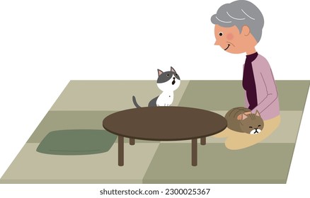Es una ilustración de un gato malcriado por una mujer mayor.