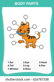 Illustration of cat vocabulary part of body,Write the correct numbers of body parts.vector