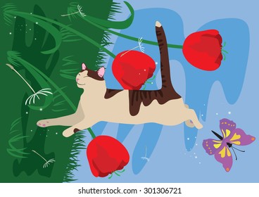 illustration of a cat who sleeps and sees the dream as it flies