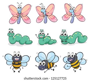 Illustration of a caterpillar, a butterfly and a bee on a white background