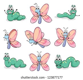 Illustration of a caterpillar and a butterfly on a white background