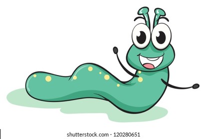 illustration of a caterpillar on a white background