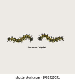 illustration with caterpillar and sign, vector design for paper, fabric and other surfaces