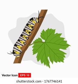 Illustration of Caterpillar in vector style.