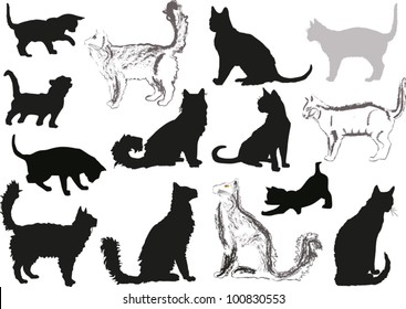 illustration with cats collection isolated on white background