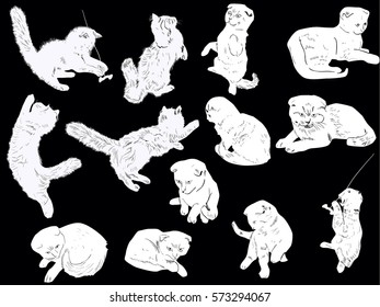 illustration with cats collection isolated on black background