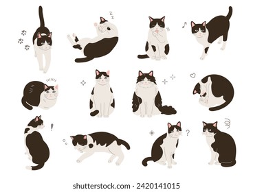 Ilustración de gatos en diferentes poses