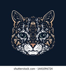 Illustration of a cats face