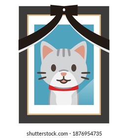 Illustration of a cat's ghost photo