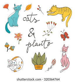 Illustration of cats plants flowers and twigs in vector format