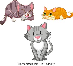 Illustration of cats, with white background vector