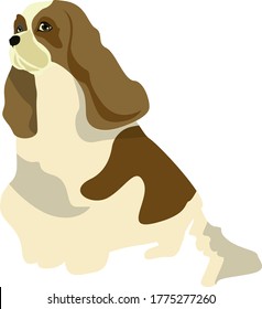 La ilustración de Cavalier King Charles Spaniel puede utilizarse en diferentes proyectos, como patrón o simple ilustración para la impresión.