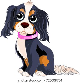Illustration of Cavalier King Charles Spaniel 