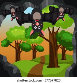 Illustration of cave bat