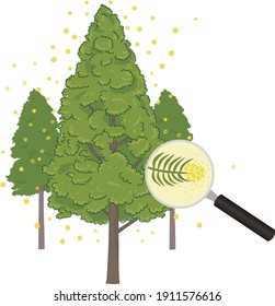 Illustration of cedar tree and pollen pollinosis