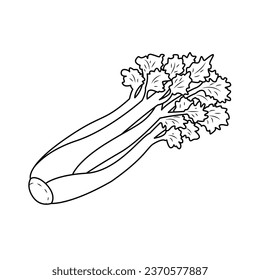 The Illustration of Celery Line Art
