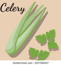 illustration of celery, celery stick, celery leaf, for teacher, student , college, banner, flyer, power point, and another comercial use